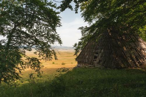 Highlander's House