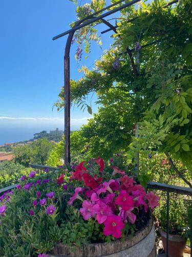 Apartamento La Casa Dei Nonni