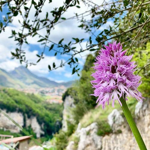 Bed & Breakfast Dafne Holiday
