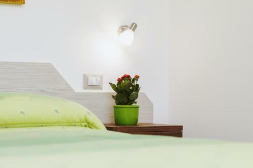 Apartamento Trekking House