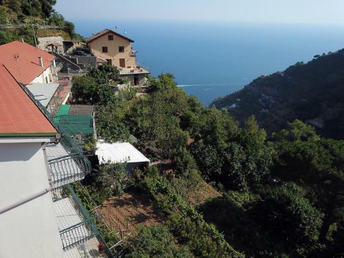 Apartamento Albachiara Top