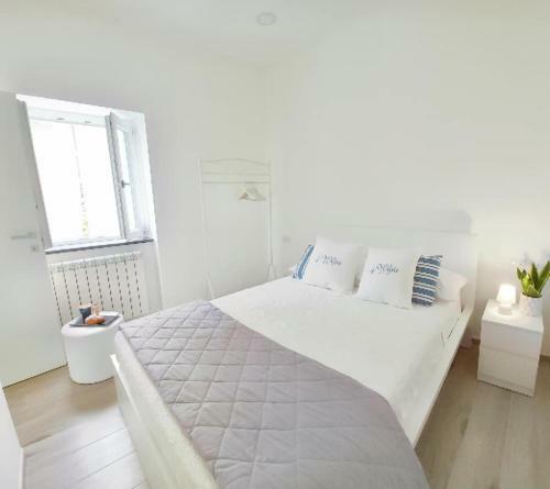 Four White Apartments