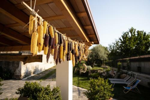 Bed & Breakfast Al Chiaro Di Luna