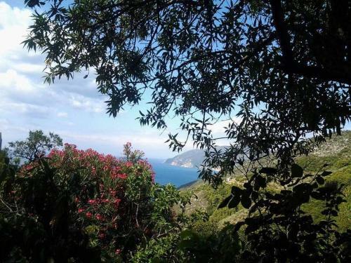 Apartamento Villa Panayiota