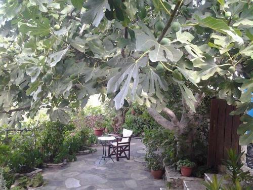 Apartamento Villa Panayiota
