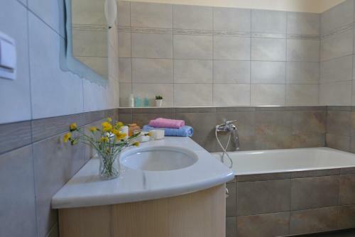 Lidromi Home (blue)