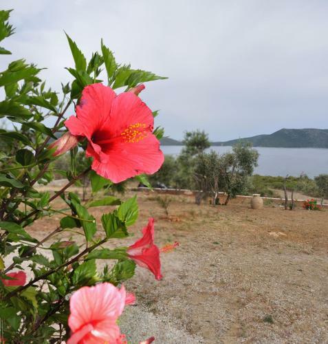 Villa Oceanis - Luxury Seaside Villa