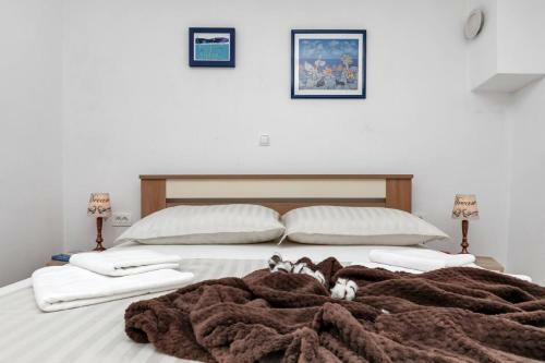 Villa Vacation House Markos Dream, Zagvozd
