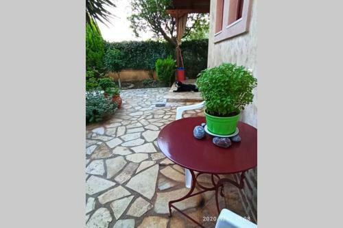 Apartamento Mozart House Studio