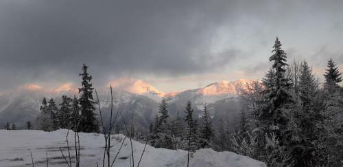 Apartamento Aux Deux Savoie B