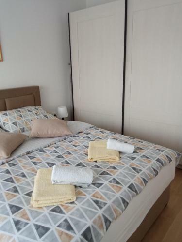 Apartamentos Fiolica