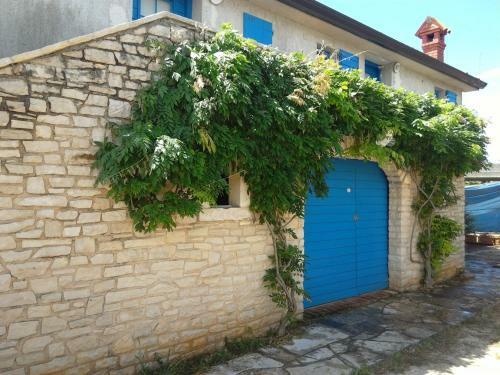 House Ivas With Garden