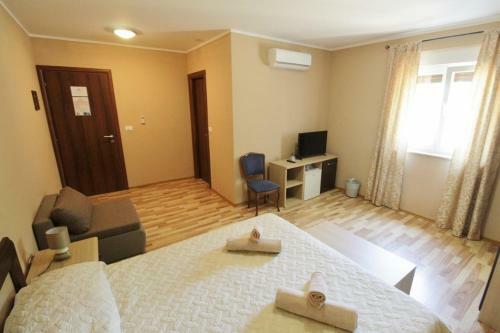 Hostal Villa Lion Zambratija