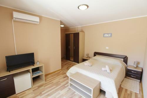 Hostal Villa Lion Zambratija
