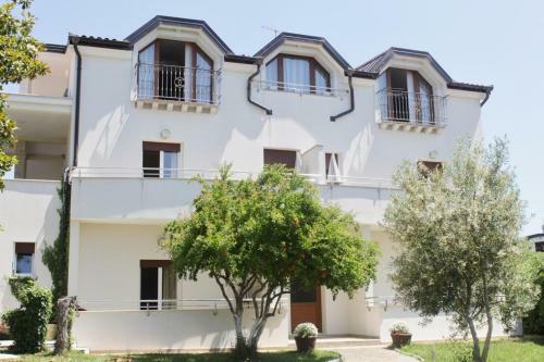 Hostal Villa Lion Zambratija
