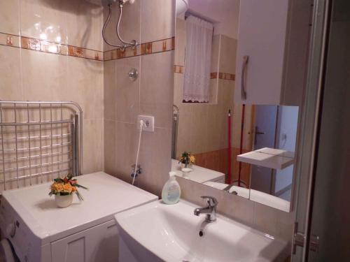 Apartments In Zambratija/istrien 35413