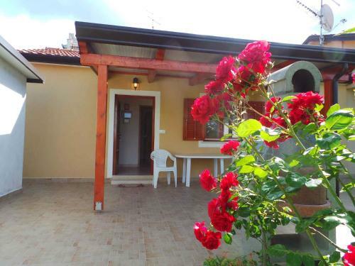 Apartments In Zambratija/istrien 35413