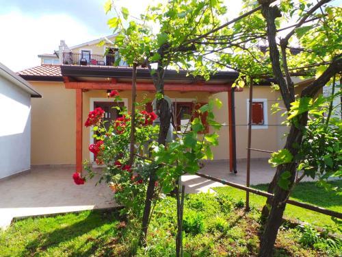 Apartments In Zambratija/istrien 35413