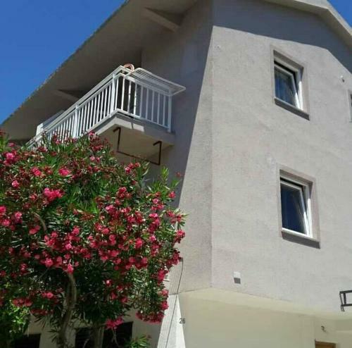 Hostal Apartmani Malba?i?
