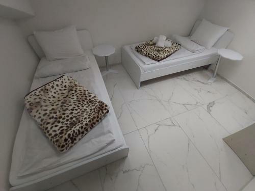 Xxl Apartament City Centar