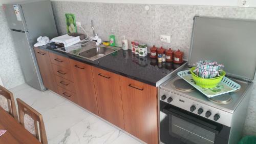 Xxl Apartament City Centar