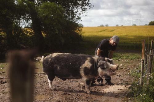 Agroturismo Damb�kgaard Sustainable Farm