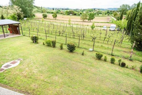 Apartamento Il Mandorlo