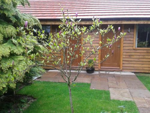 Bed & Breakfast Manor Garden Lodge