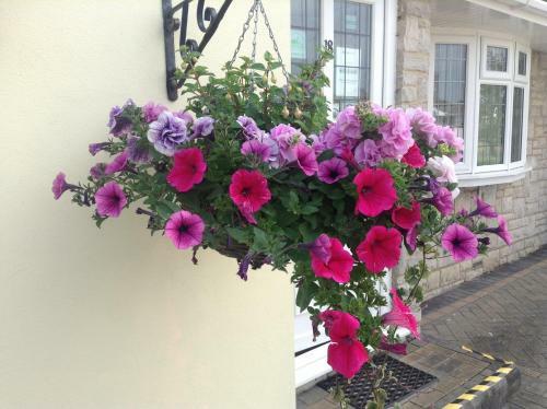 Bed & Breakfast Bure Lodge