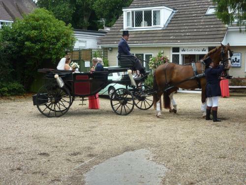Bed & Breakfast Castle Lodge