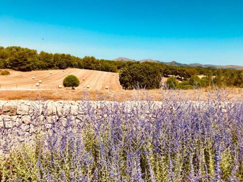 Agroturismo Finca Sestelrica