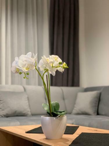 Palma Apartment