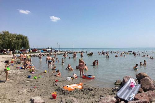 Apartment In Balatonalmadi 36663
