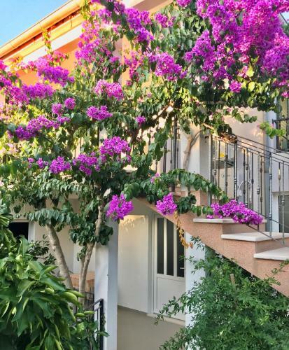 Hostal Apartmani Ru?ica