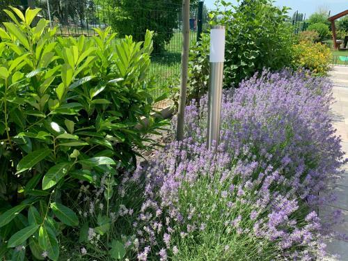 Balatonbogl�r - Golden Bridge Apartments