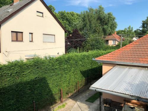 Liget Apartman