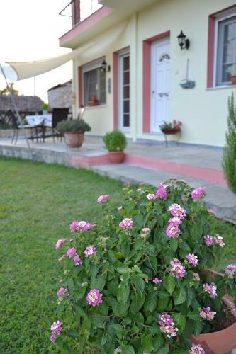Apartamento Amigdaleonas House