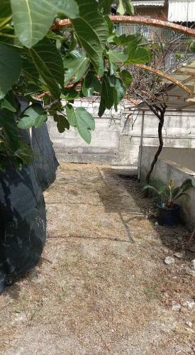 Apartamento Casa Vacanze Agropoli