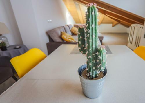 Apartamento The Cilento House