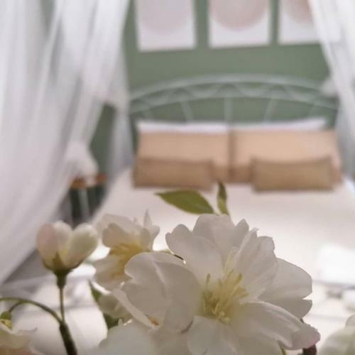 Bed & Breakfast Tesori Di Girgenti