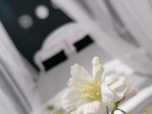 Bed & Breakfast Tesori Di Girgenti