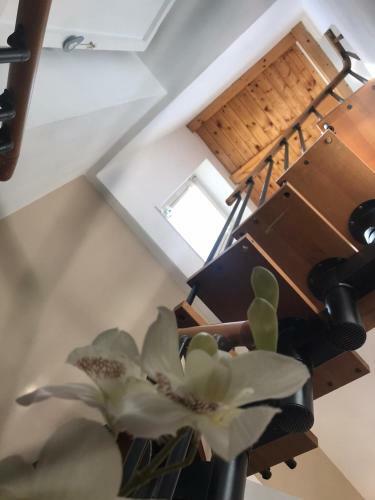 Bed & Breakfast Tesori Di Girgenti