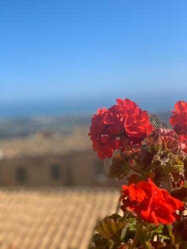 Bed & Breakfast Tesori Di Girgenti