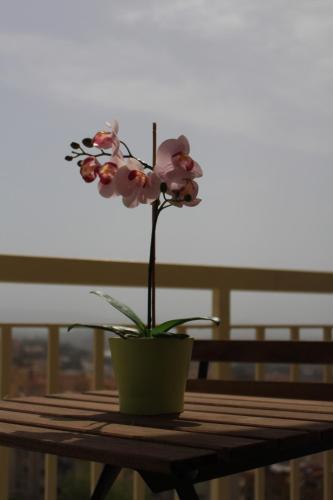 Bed & Breakfast L'alba Sui Templi