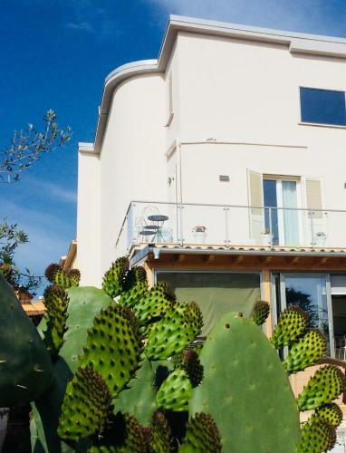 Al�ka Apartment