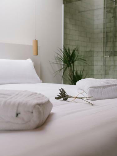 Hotel Nafarrola