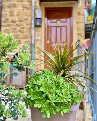 Apartamento La Trinacria