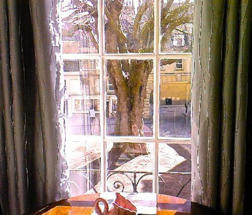 Abbey Green Apartment