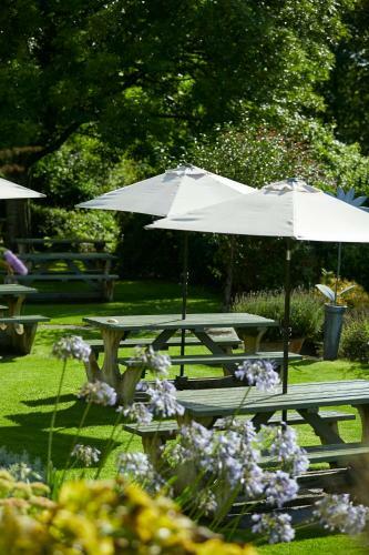 Bed & Breakfast The Wheatsheaf Combe Hay