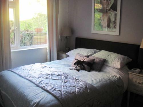 Bed & Breakfast Shrubdown